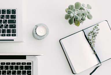 2025新版官网如何提升信息透明度？操作指南与查找技巧